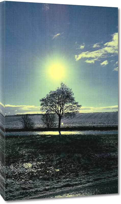Toiles imprimées Photo crépuscule sur arbre en Autriche