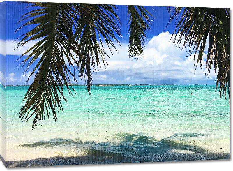 Toiles imprimées Photo palmier sur plage Bahamas