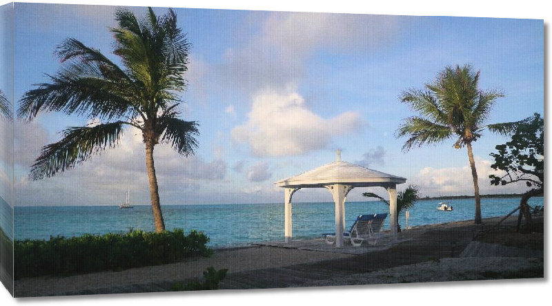 Toiles imprimées Photo palmier plage Bahamas