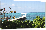 Toiles imprimées Photo océan bahamas