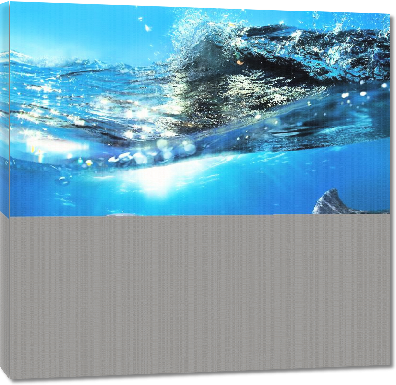 Toiles imprimées Poster photo dauphins dans l'océan