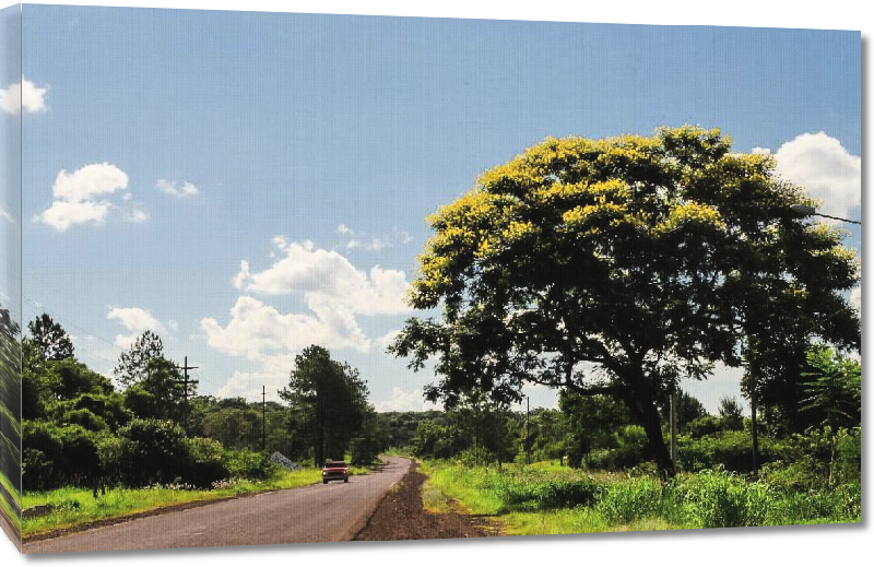 Toiles imprimées Photo route en zone rurale en Argentine