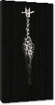 Toiles imprimées Photo en noir et blanc d'un Girafon 