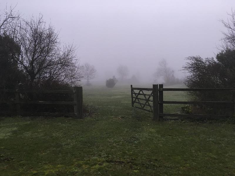 Photo brouillard en campagne