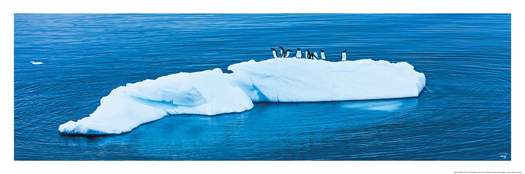 Poster photo Manchots et iceberg, Antarctique