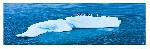 Poster photo Manchots et iceberg, Antarctique