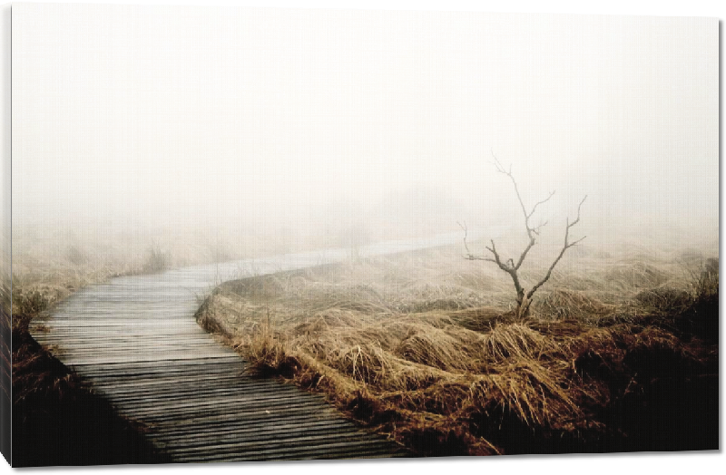 Toiles imprimées Photo paysage brouillard