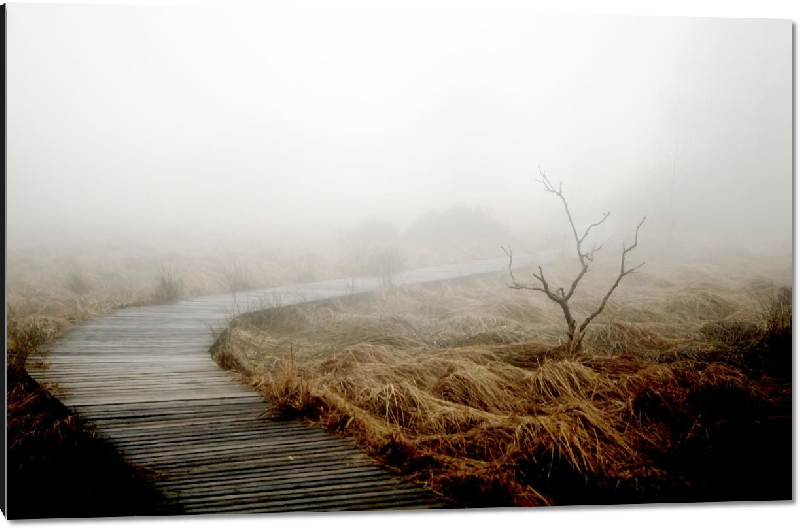 Impression sur aluminium Photo paysage brouillard