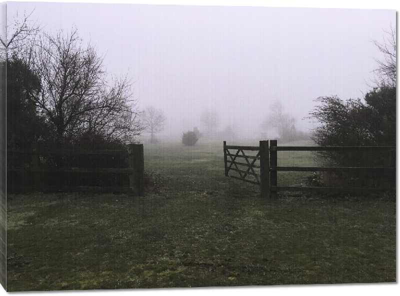 Toiles imprimées Photo brouillard en campagne