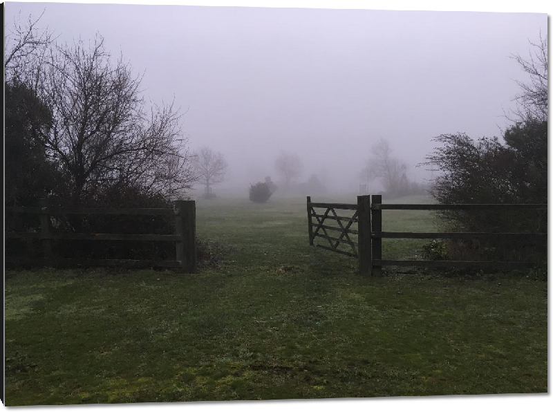 Impression sur aluminium Photo brouillard en campagne