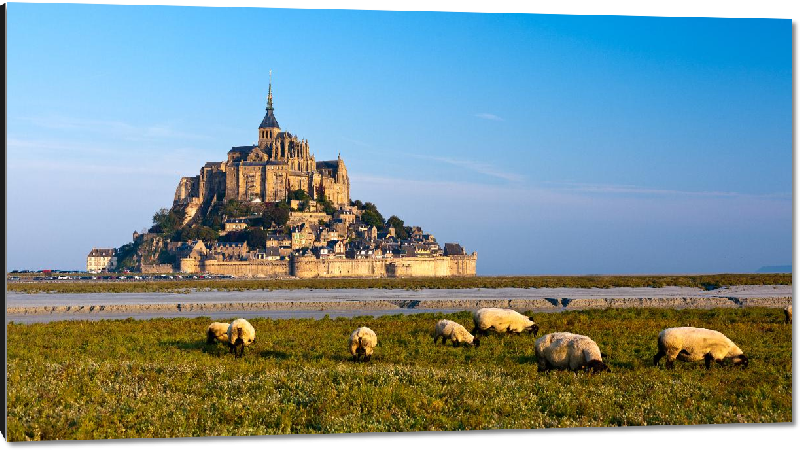 Impression sur aluminium Photo du Mont Saint Michel (alpages) 
