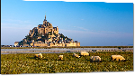 Impression sur aluminium Photo du Mont Saint Michel (alpages) 