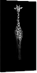 Impression sur aluminium Photo en noir et blanc d'un Girafon 
