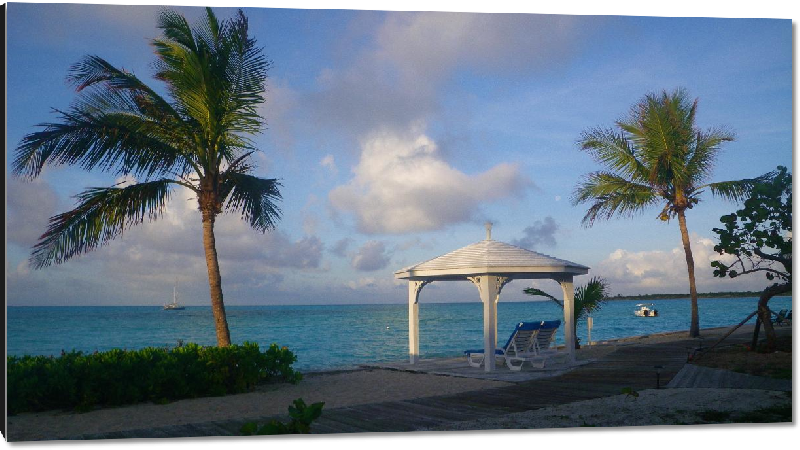 Impression sur aluminium Photo palmier plage Bahamas