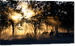 Impression sur aluminium Photo coucher de soleil cow boys Australie