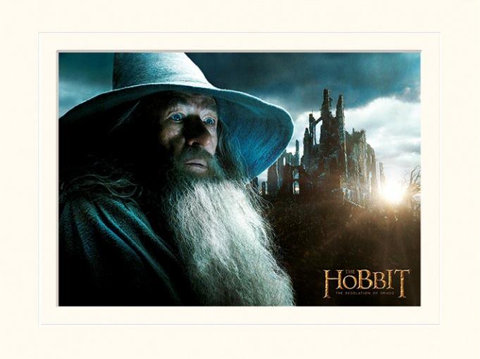 Affiche du film Le Hobbit : la Désolation de Smaug
