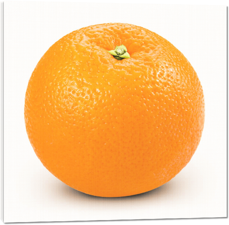 Toiles imprimées Photo fruit orange