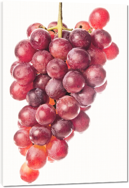Toiles imprimées Photo d'une grappe de raisin