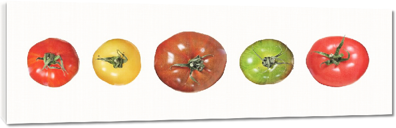 Toiles imprimées Photo tomate 5 couleurs