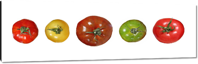 Impression sur aluminium Photo tomate 5 couleurs