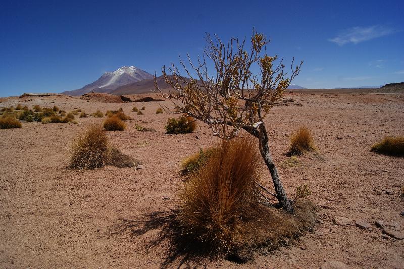 photo montagne dans le desert en bolivie