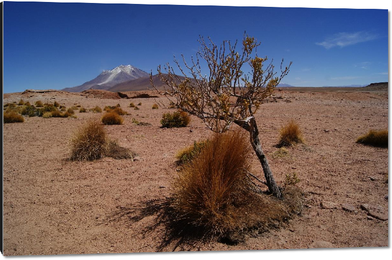 Impression sur aluminium photo montagne dans le desert en bolivie