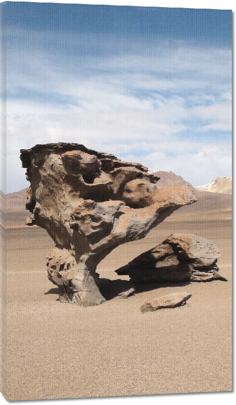 Toiles imprimées photo en désert bolivie
