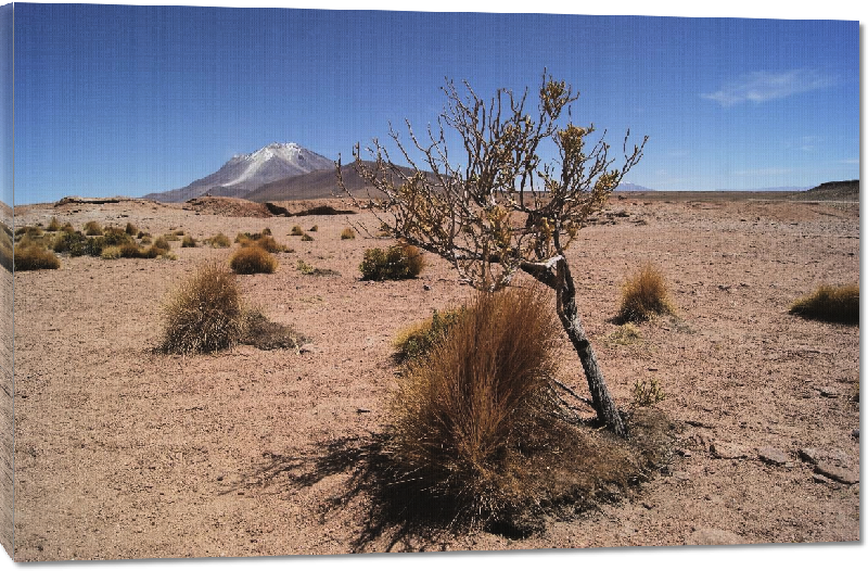 Toiles imprimées photo montagne dans le desert en bolivie