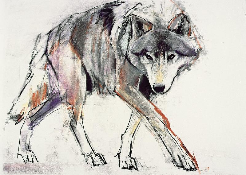 Reproduction de Loup Wolf 