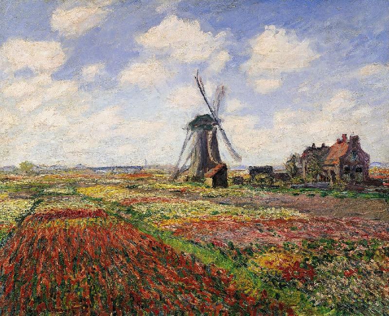 Reproduction Tulip Fields avec le moulin à vent de Rijnsburg
