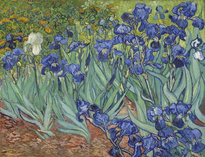 Reproduction du tableau iris de vincent van gogh