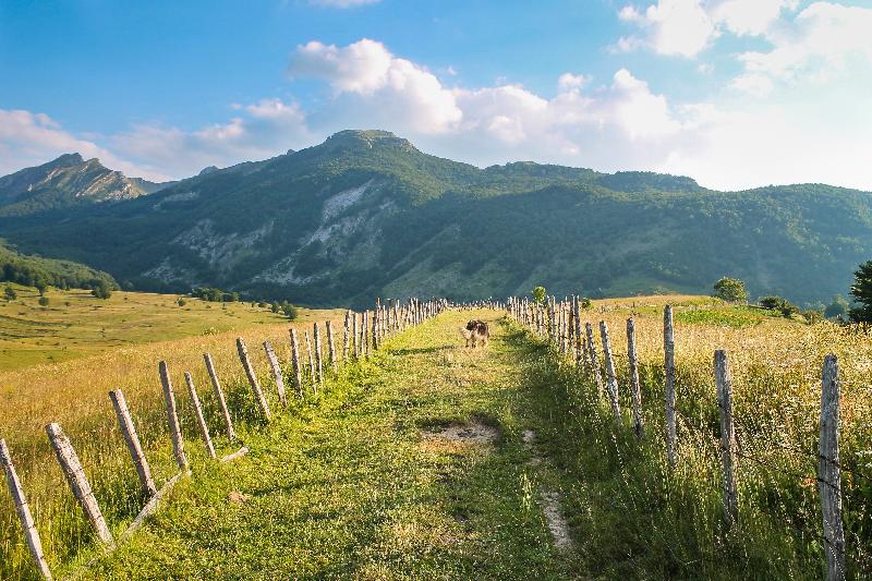 photo paysage montagne en Bosnie