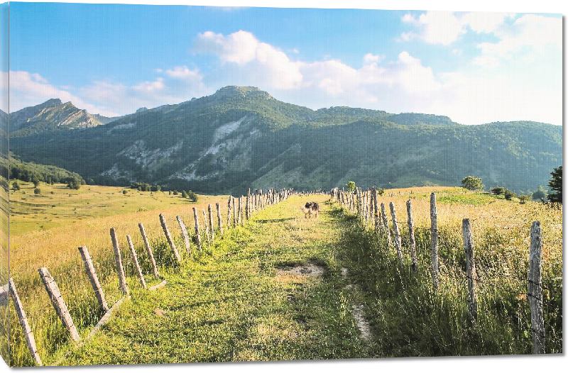Toiles imprimées photo paysage montagne en Bosnie