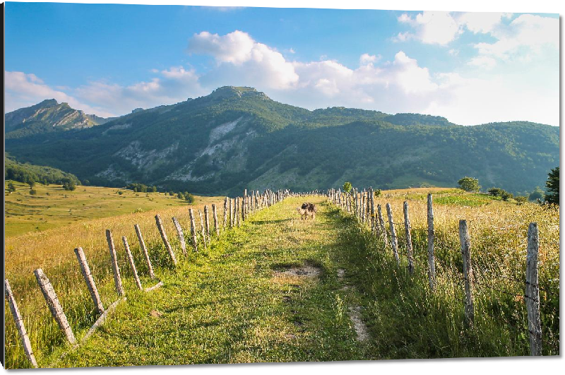 Impression sur aluminium photo paysage montagne en Bosnie