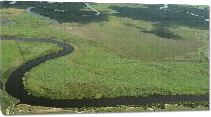 Toiles imprimées photo rivière au botswana