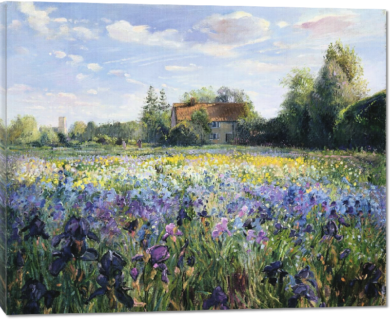 Toiles imprimées Reproduction du tableau soirée au champ d'Iris (Evening at the Iris Field) de Timothy easton