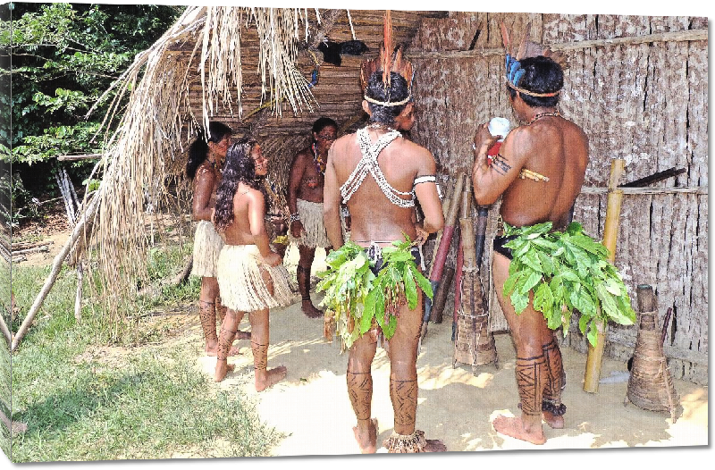 Toiles imprimées photo tribu au brésil