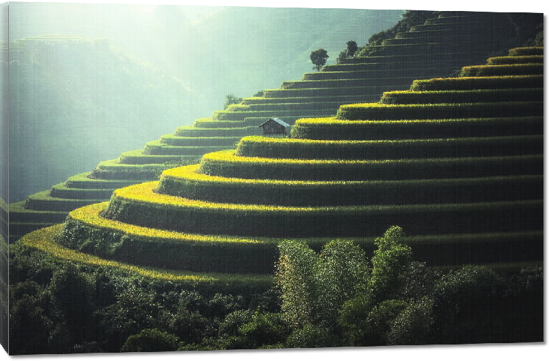 Toiles imprimées photo jardins montagneux au cameroun 