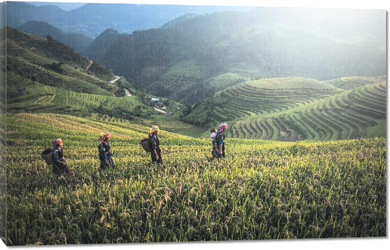 Toiles imprimées photo randonneur dans les montagnes au cameroun