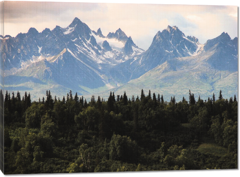 Toiles imprimées photo montagne foret au canada