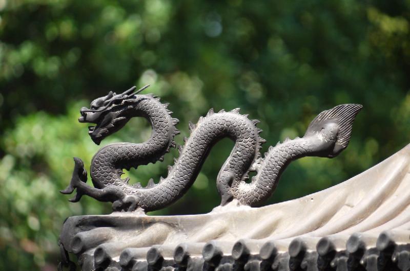 photo dragon sacré chinois