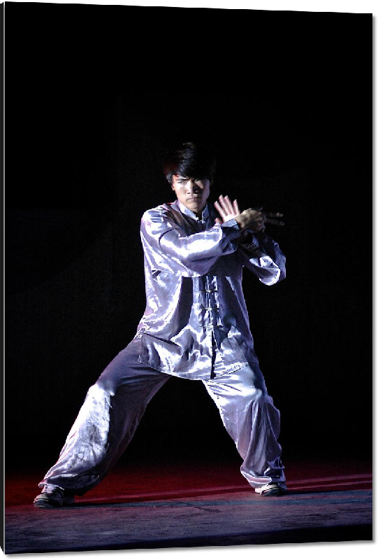 Impression sur aluminium photo dnaseur art martial en chine 