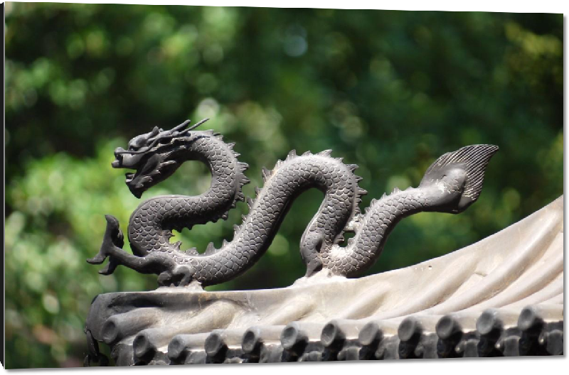 Impression sur aluminium photo dragon sacré chinois