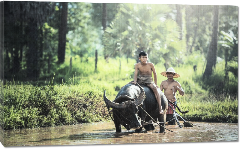 Toiles imprimées photo agriculteur sur un toro ramonant un étant de boue en chine 