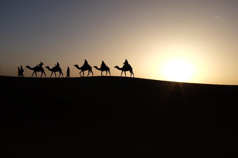 photo troupeau de de dromadaire dans le desert