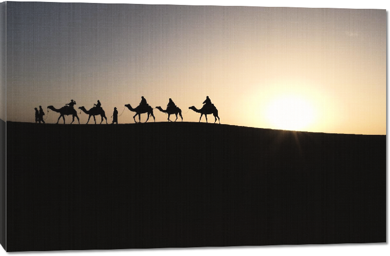 Toiles imprimées photo troupeau de de dromadaire dans le desert