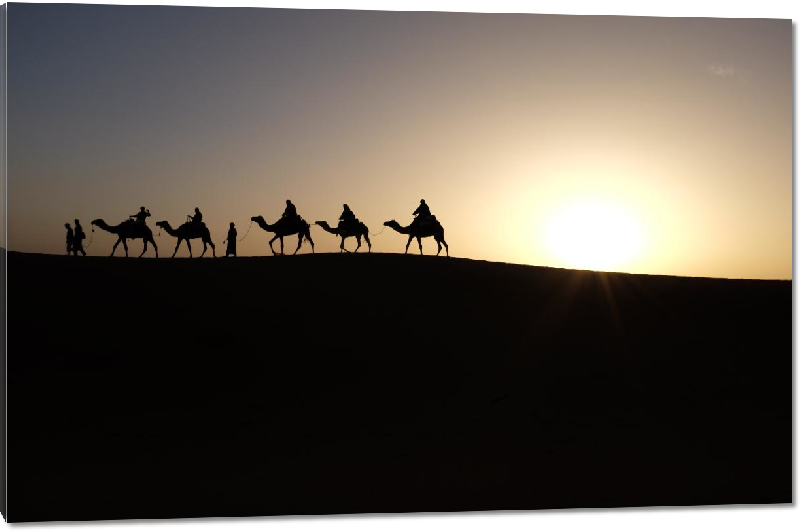 Impression sur Plexiglass photo troupeau de de dromadaire dans le desert