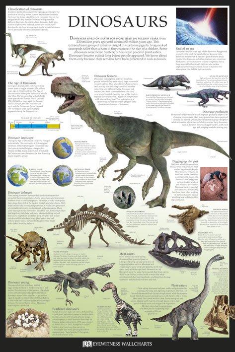Poster éducatif en anglais sur les dinosaures
