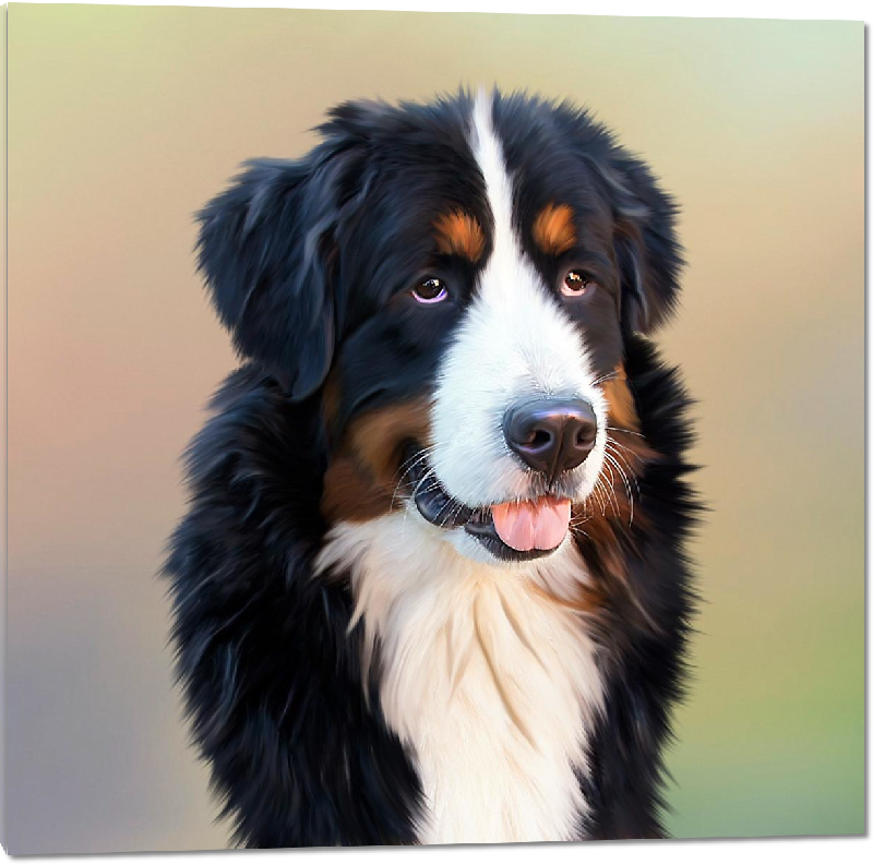 Impression sur Plexiglass photo chien noir, marron, et blanc 
