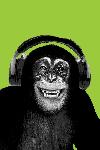 Affiche Chimpanzee casque